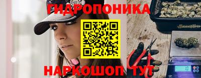 дмт Канаш