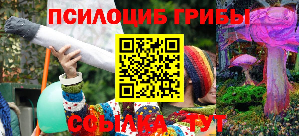 Галлюциногенные грибы мухоморы  Вход с VPN  Краснознаменск 
