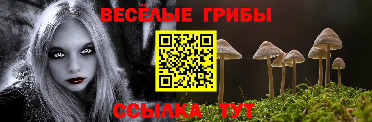 Псилоцибиновые грибы GOLDEN TEACHER Краснознаменск