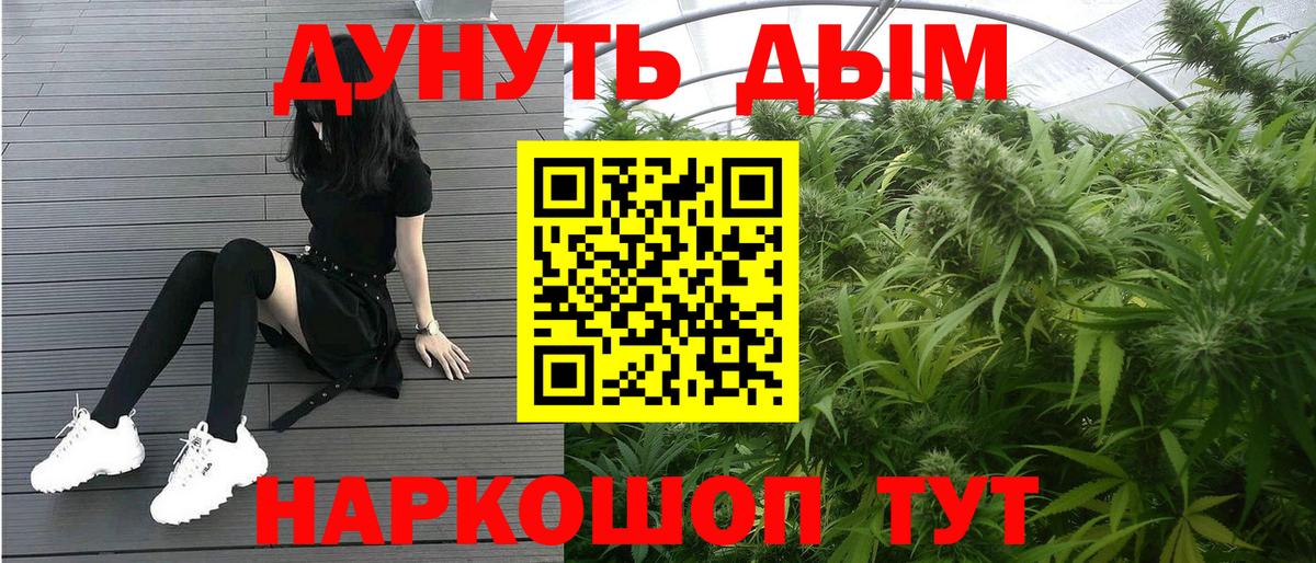 Бошки Шишки семена Краснознаменск